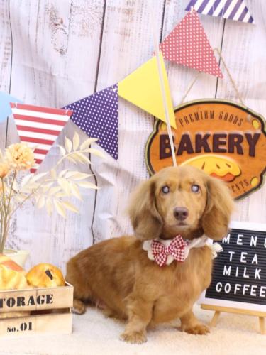 20240923ふうくん